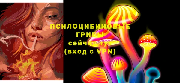 тгк Горно-Алтайск