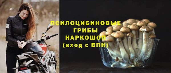 тгк Горно-Алтайск