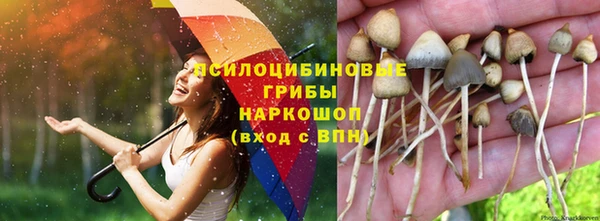 COCAINE Горнозаводск