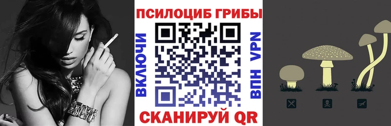 Псилоцибиновые грибы GOLDEN TEACHER Орёл