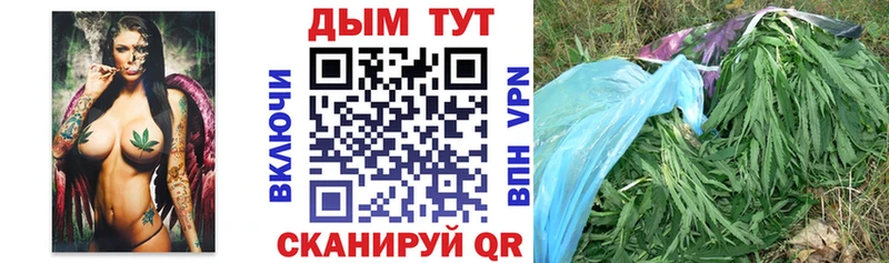 МАРИХУАНА гибрид  Орёл 